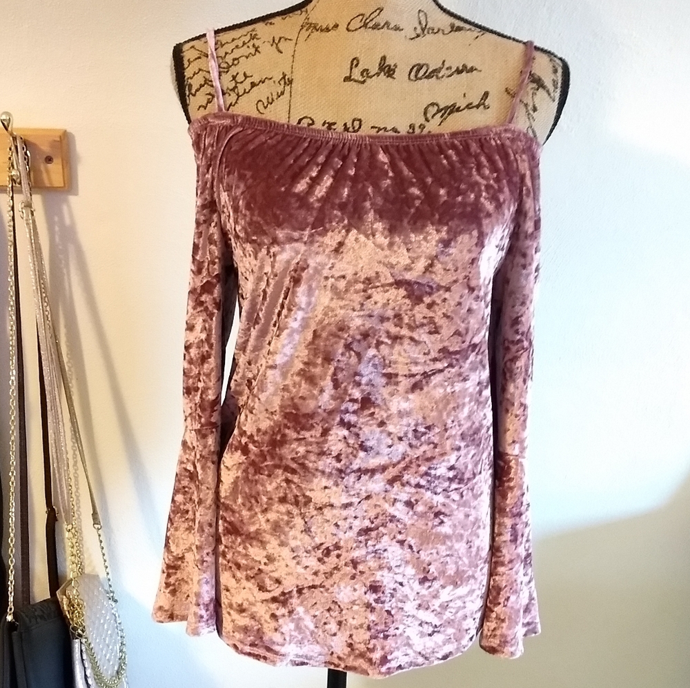 Off The Shoulder Velvet Mauve Holiday Blouse